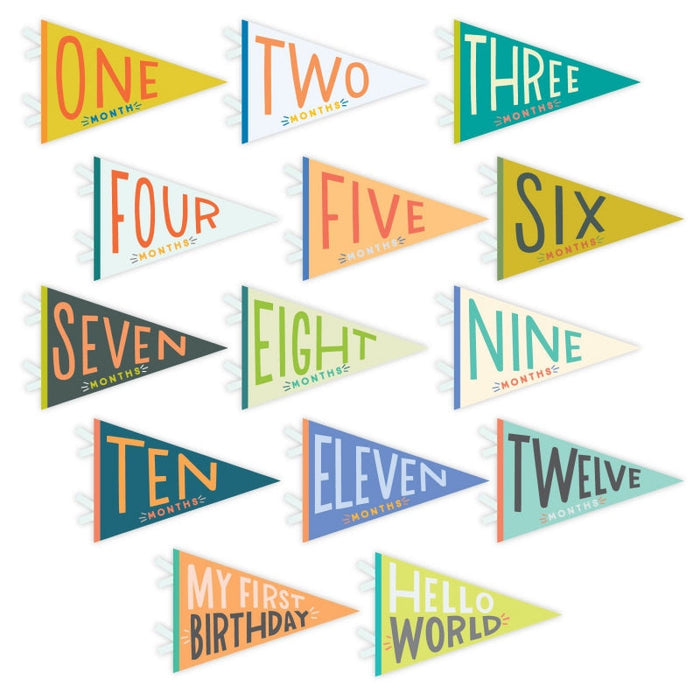 Lucy Darling Little Kaleidoscope Petit Milestone Pennants