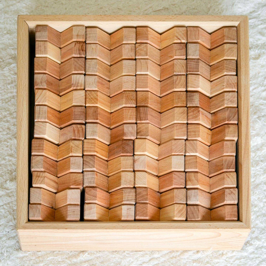 All 48 Bauspiel X-Blocks packed in their wooden tray