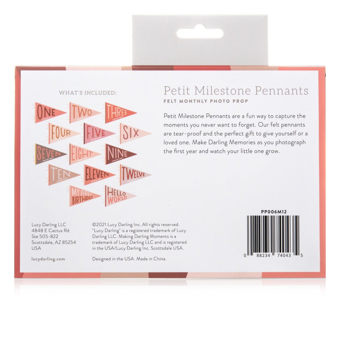 Lucy Darling Blushing Meadow Petit Milestone Pennant
