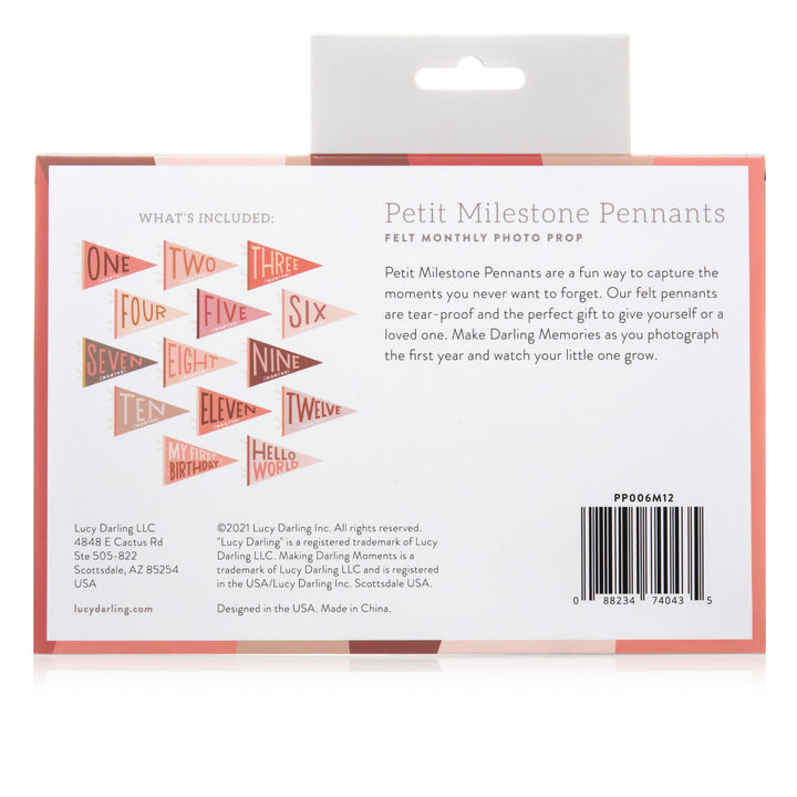 Lucy Darling Blushing Meadow Petit Milestone Pennant