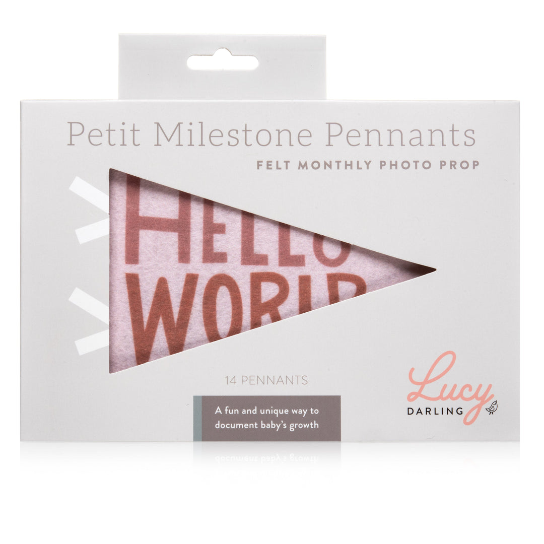 Lucy Darling Mountain Fields Petit Milestone Pennant