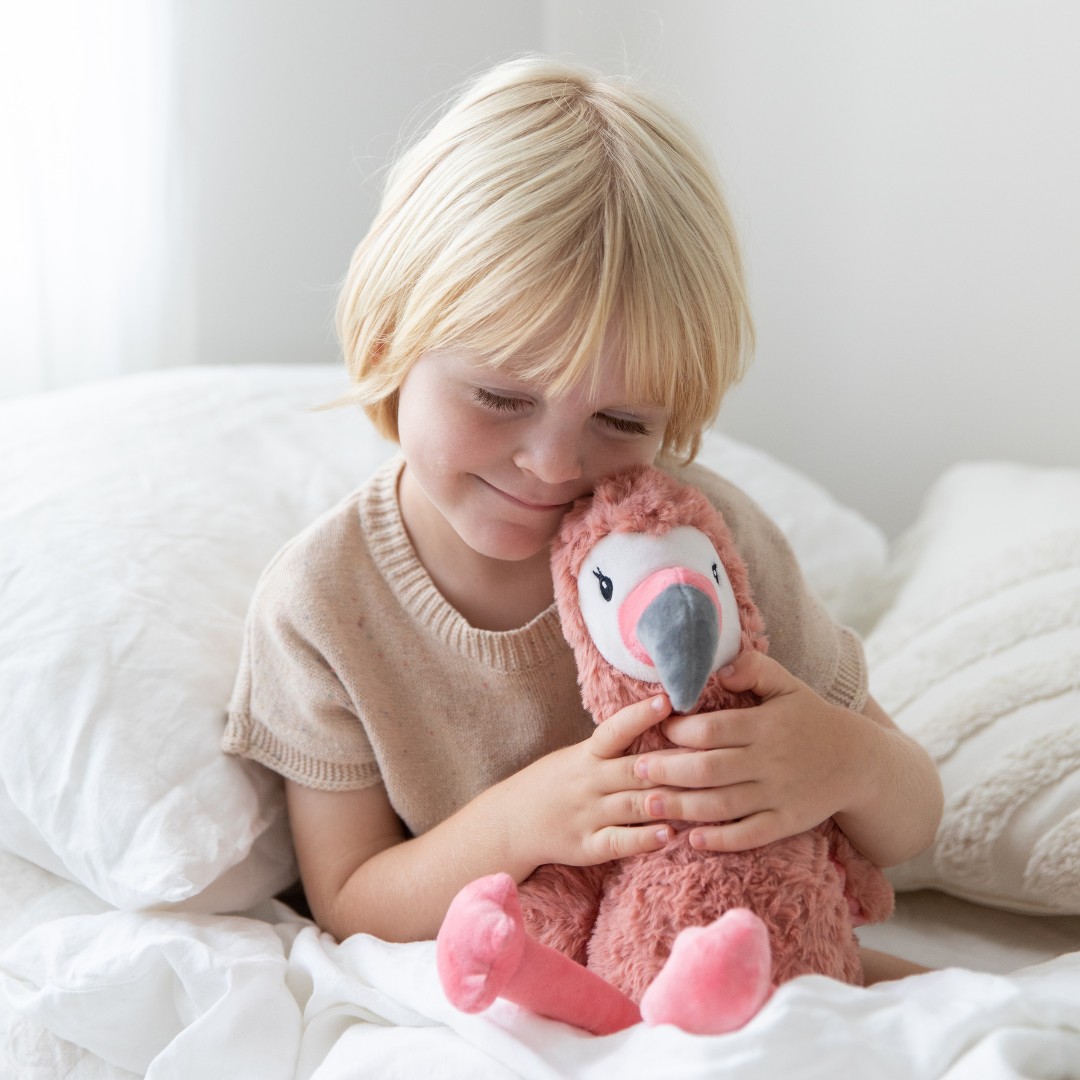 Francesca The Weighted Flamingo