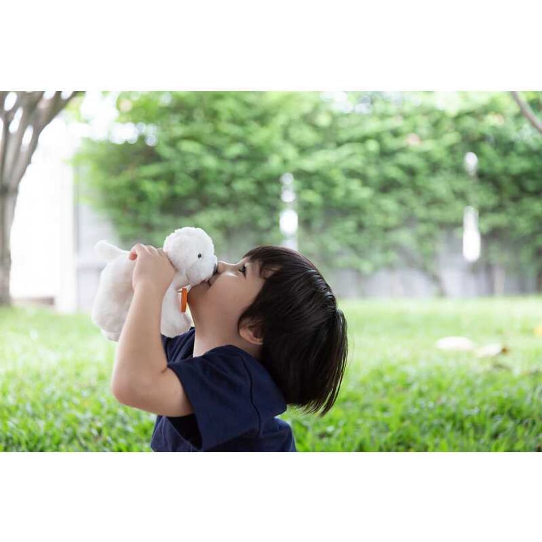 Plan Toys Pet Care Set