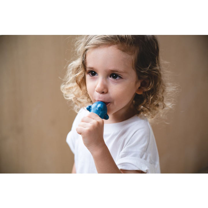 Plan Toys Dolphin Whistle