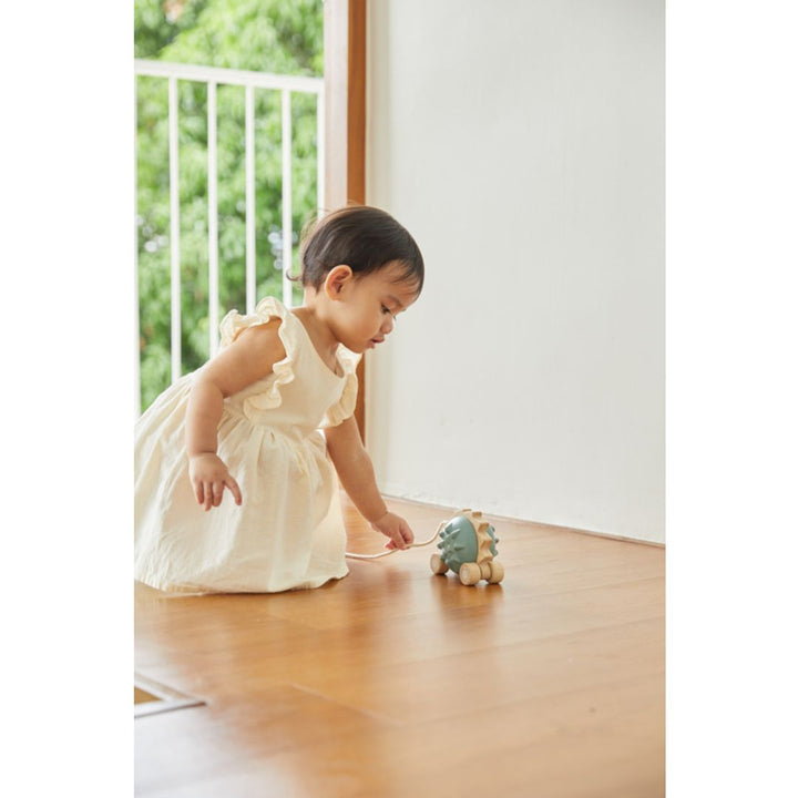 Plan Toys Pull-Along Hedgehog - Blue