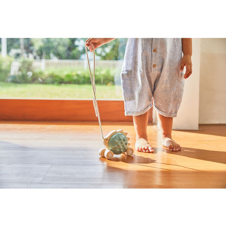Plan Toys Pull-Along Hedgehog - Blue