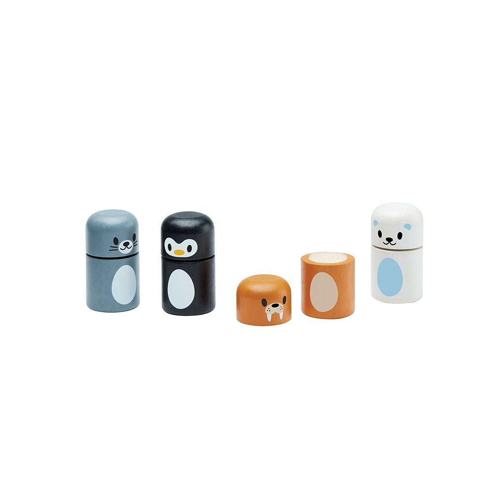Plan Toys Arctic Animal Matching