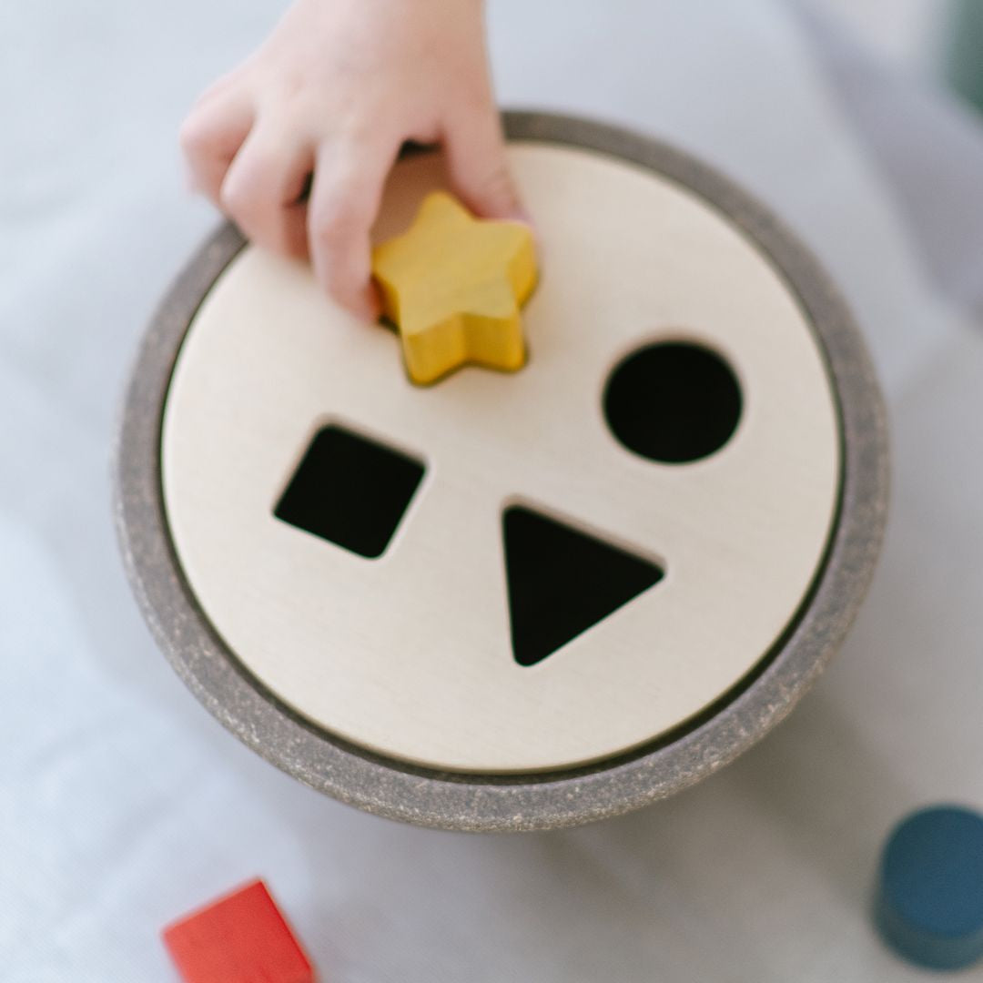 Plan Toys Shape Sorting Bowl