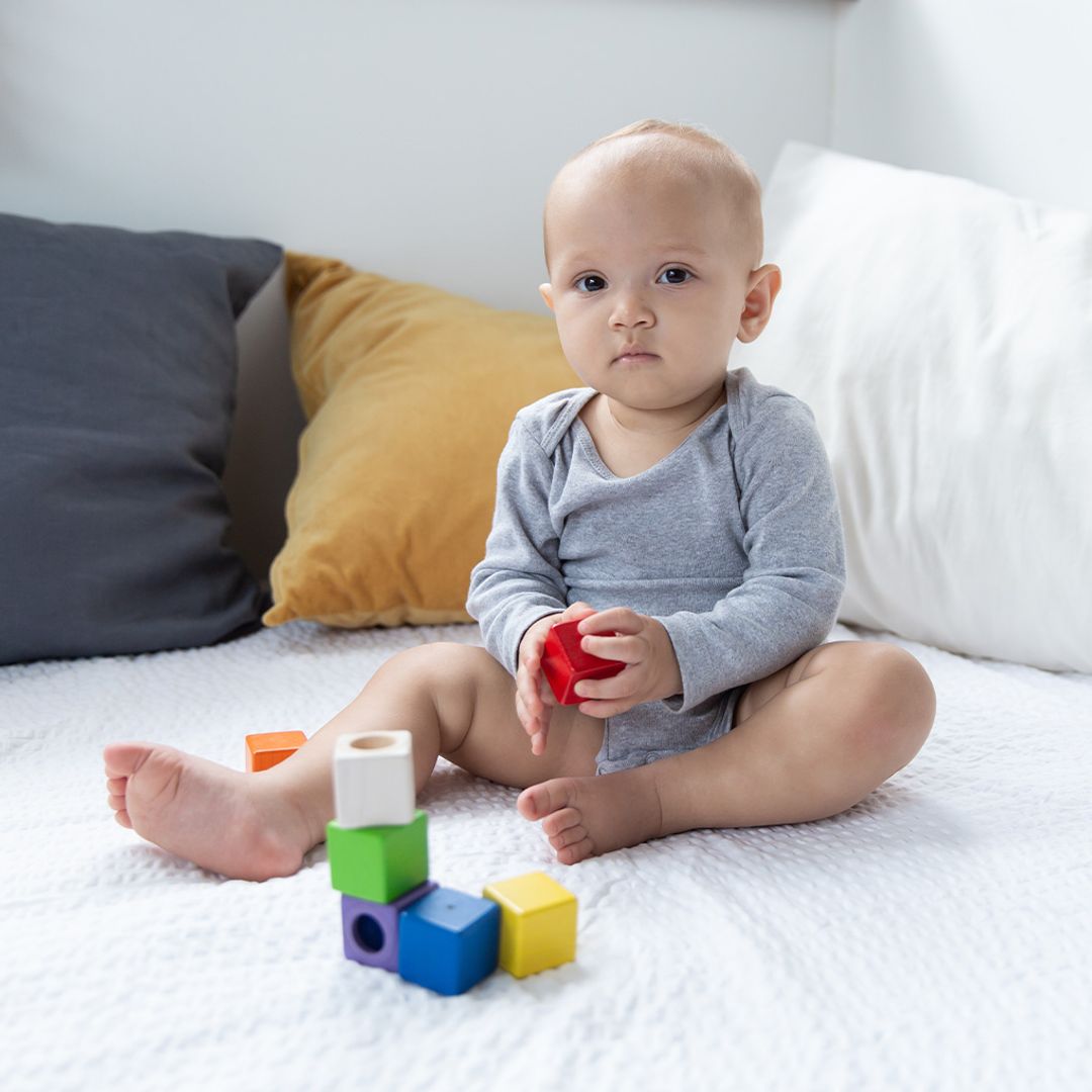 Plan Toys Activity Blocks