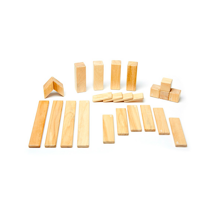 24-Piece Set <br>Magnetic Wooden Blocks <br>Tegu Classics