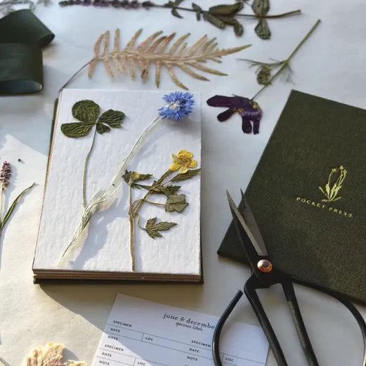 June &amp; December field flower press with pressed ferns and blooms. Scissors, specimen labels and notebook shown are styling props and are not included.