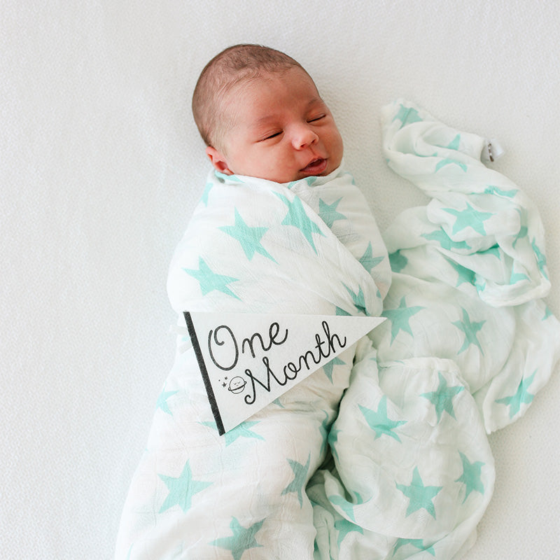 Lucy Darling Little Stargazer Petit Milestone Pennants