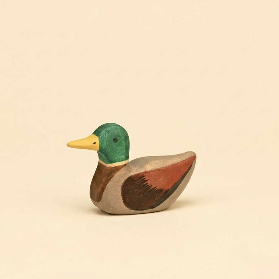 Mako Mallard Duck, Sitting
