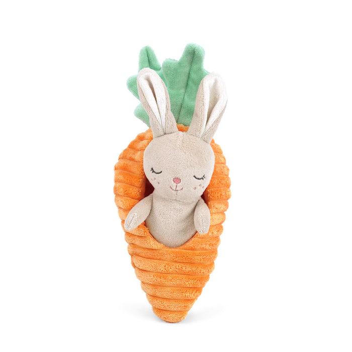 Mon Ami plush bunny tucked inside a soft carrot activity toy