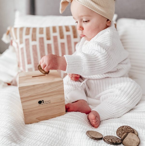 Q Toys Montessori Disc Post Box
