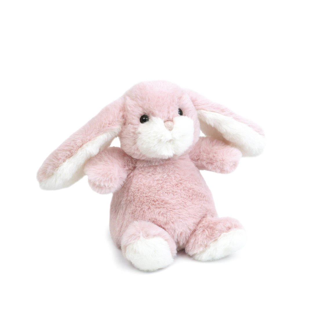 Bun Bun Bunny