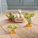 Tender Leaf Bunny's Carrot Patch · view 2