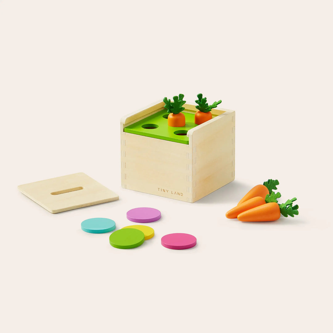 Tiny Land® Montessori Toys for Toddlers (13–15 Months) – Montessori Play Kits