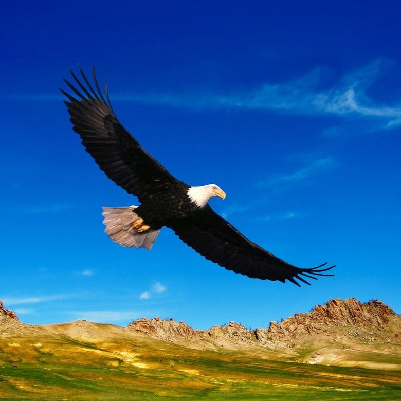 Eagle Finger Puppet