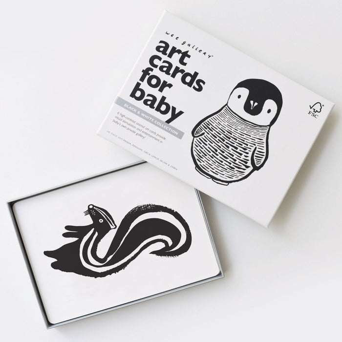 Art Cards for Baby - Black and White Collection