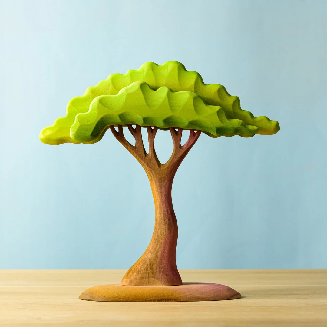 Bumbu Large Acacia Tree