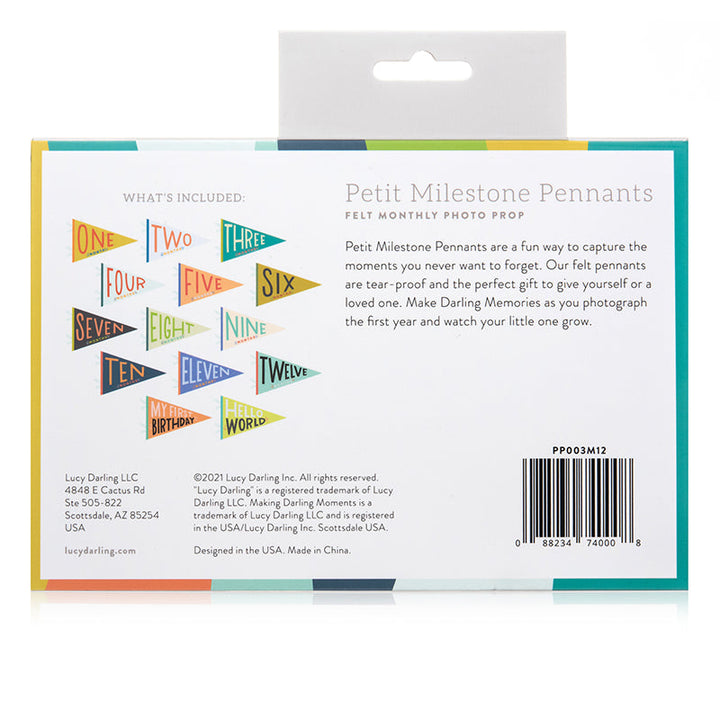 Lucy Darling Little Kaleidoscope Petit Milestone Pennants