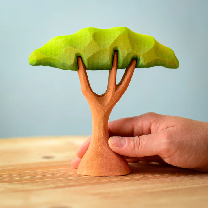 Bumbu Small Acacia Tree