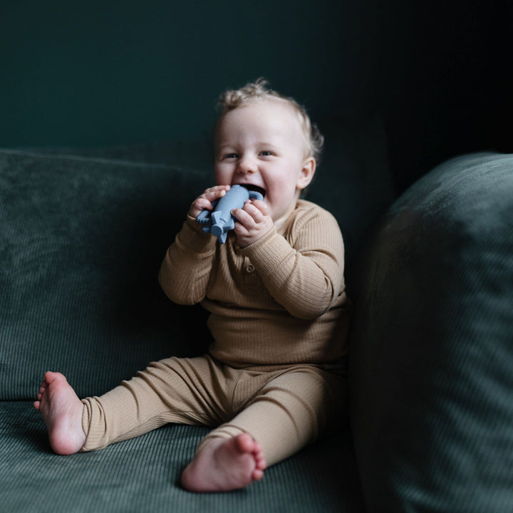 Rattle Teethers