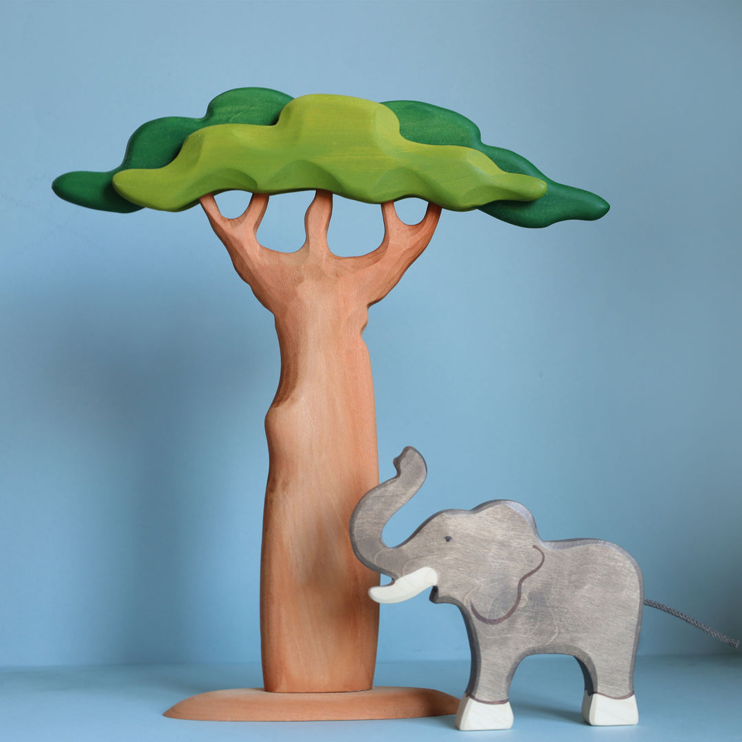 Bumbu Baobab Tree, Tall
